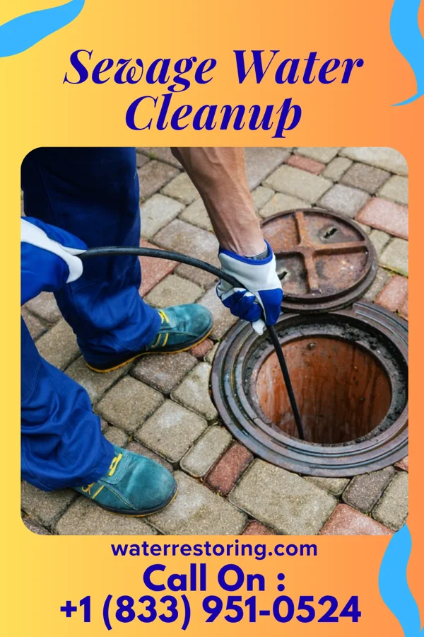 Sewage Water Cleanup in Waltonville, IL